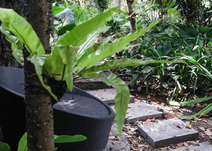 Senja Secluded Jungle Private Pool Villa *