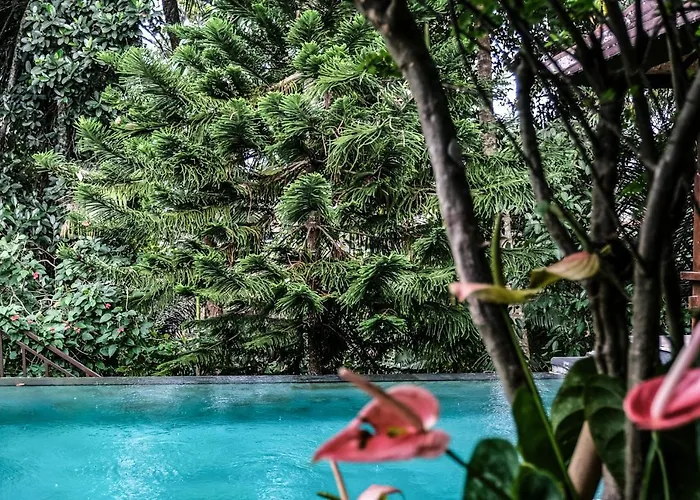 Villa Senja Secluded Jungle Private Pool