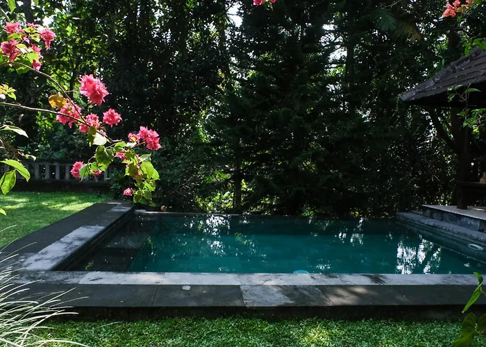 Senja Secluded Jungle Private Pool Villa *